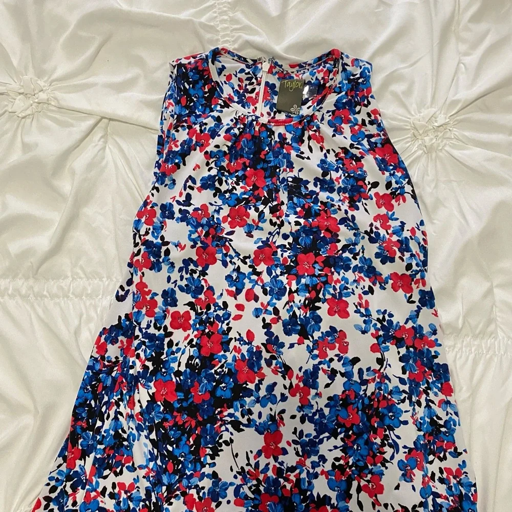 Taylor sleeveless Dress - Picture 3 of 4